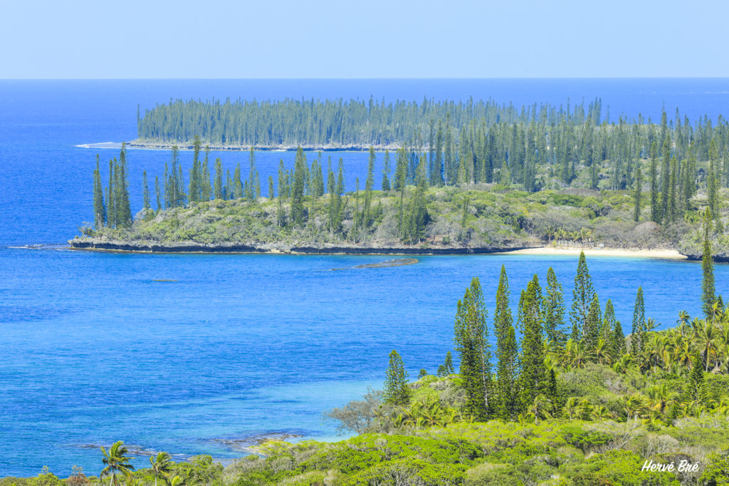 Hébergeant le Oure Beach resort la côte sud-ouest et les fameux Pins colonnaire endémiques (Araucaria columnaris)
