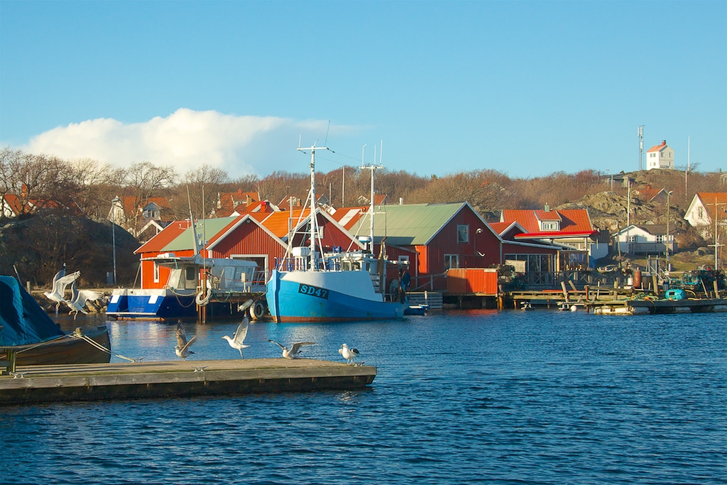 Îles Koster