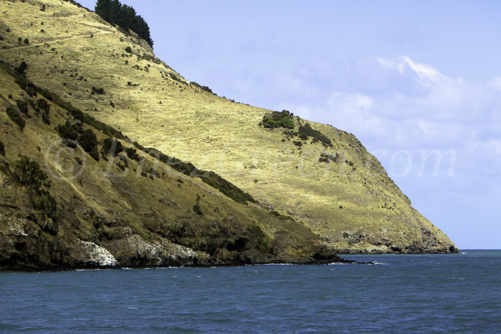 Akaroa's bay , New-Zealand South island