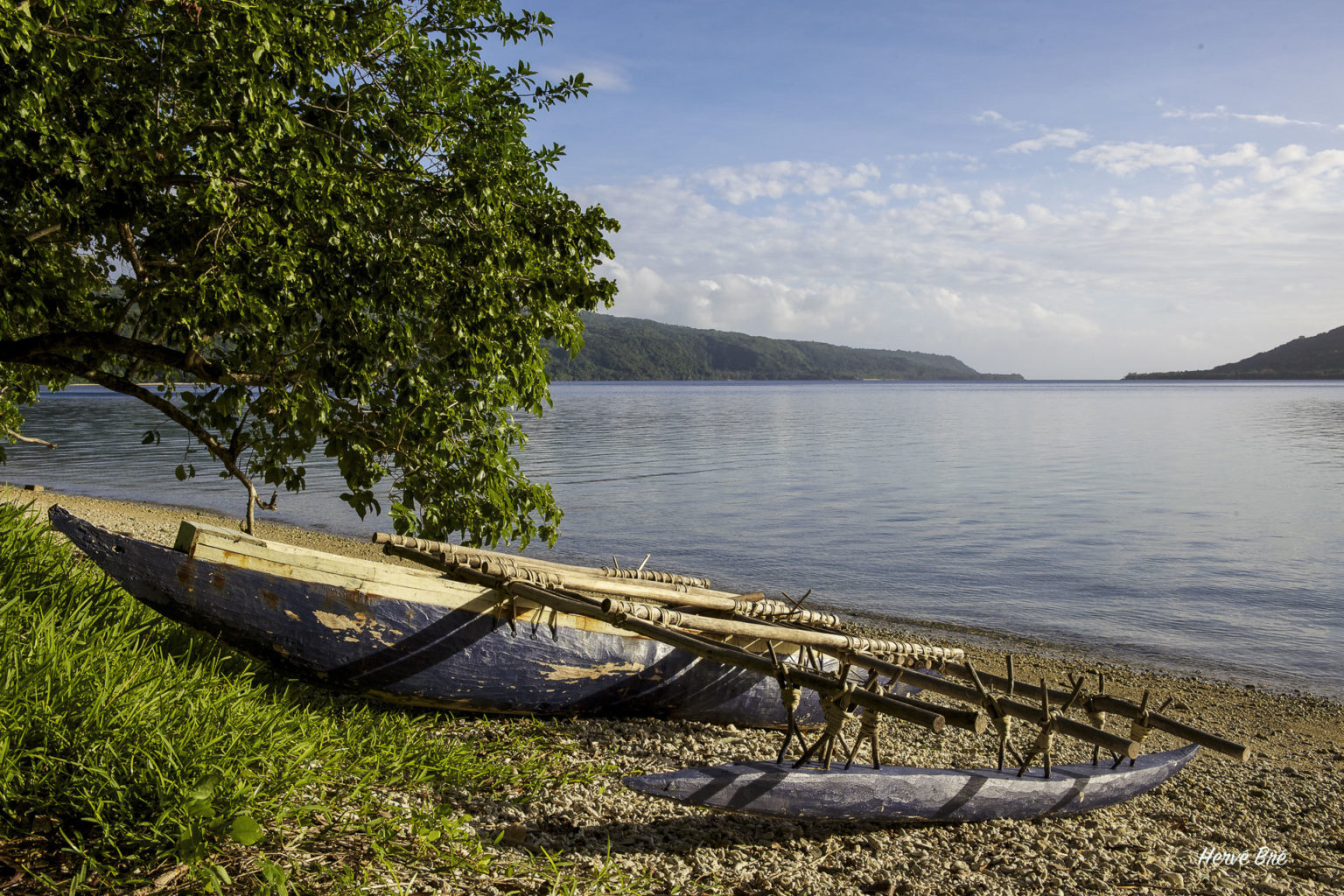 Vanuatu • EnezGreen