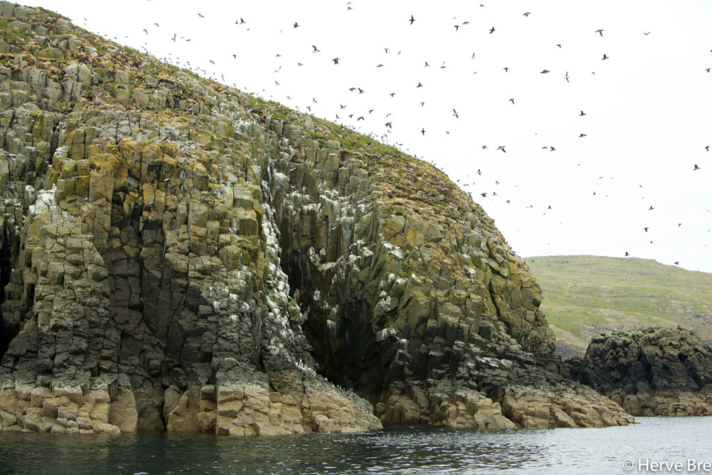 Iles des Shiant orgues volcaniques où nichent des populations d'oiseaux