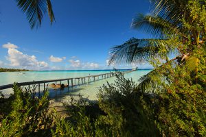 Ahe atoll préservé des Tuamotu
