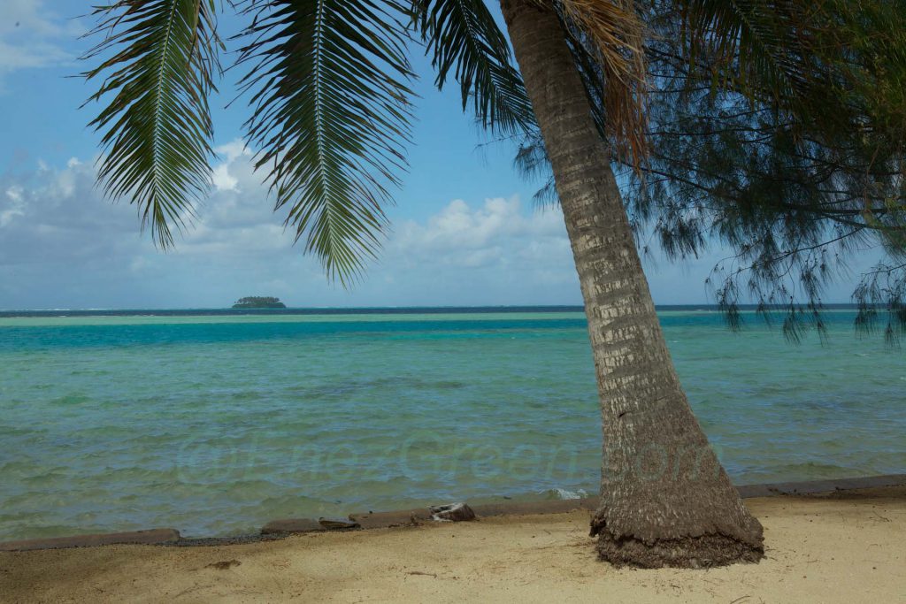 Atiapiti Raiatea © Hervé Bré - Enezgreen