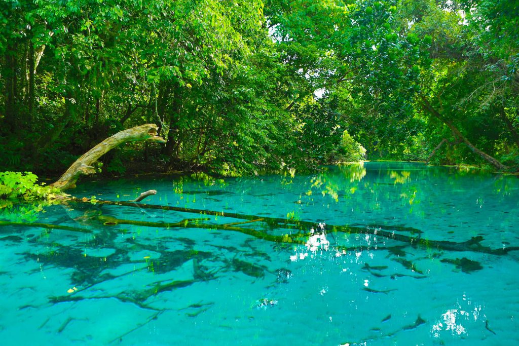 Blue Hole Vanuatu © Hervé Bré • EnezGreen