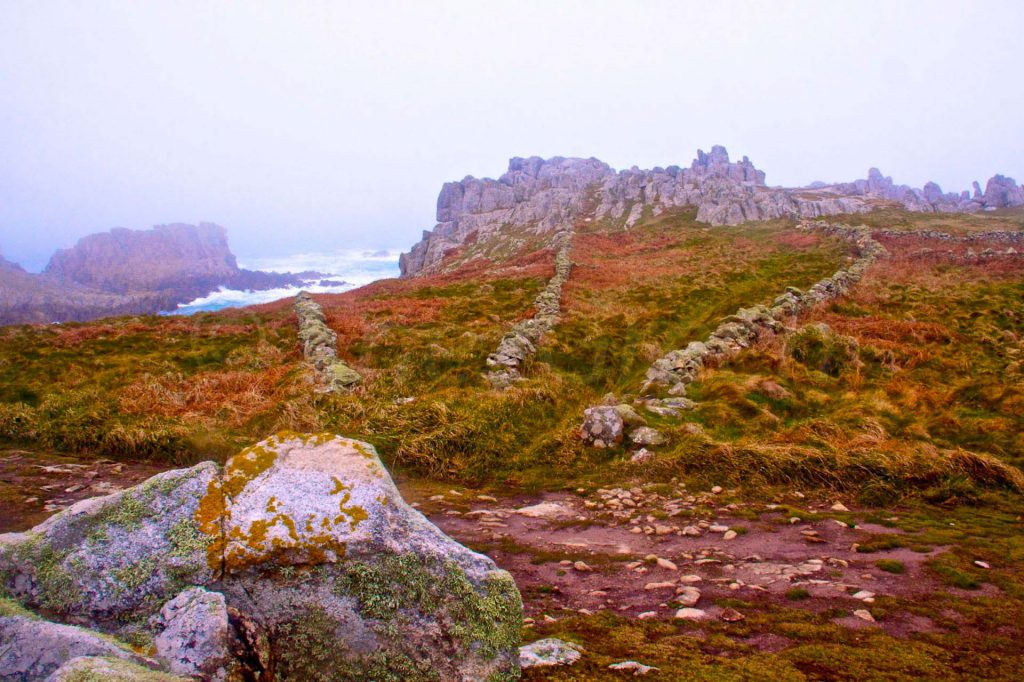 Ouessant Sorties Naturalistes Cemo © Laëtitia Scuiller Enezgreen