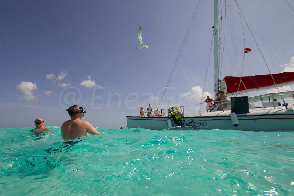 Cayman islands © Hervé Bré • EnezGreen