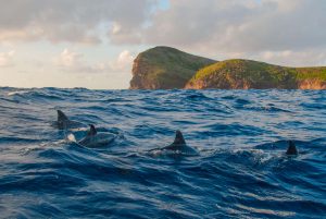 Coin de mire île Maurice © Laetitia Scuiller • EnezGreen