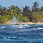 Dolphins jumps Rangiroa Tiputa Tuamotu French Polynesia © Hervé Bré • EnezGreen