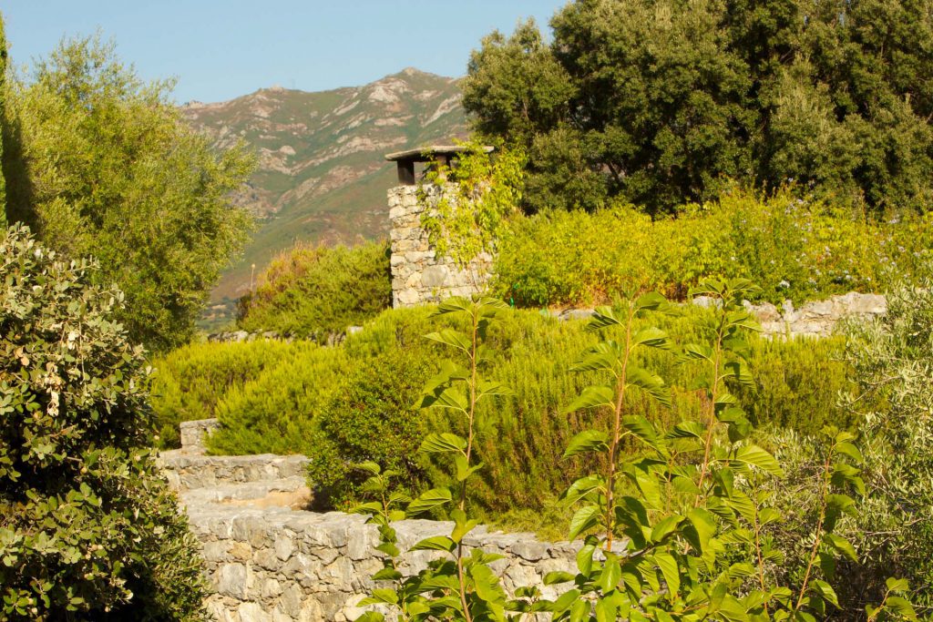 Domaine De Panciarella © Hervé Bré Enezgreen