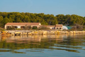 Îles Des Embiez Institut Paul Ricard © Laëtitia Scuiller Enezgreen