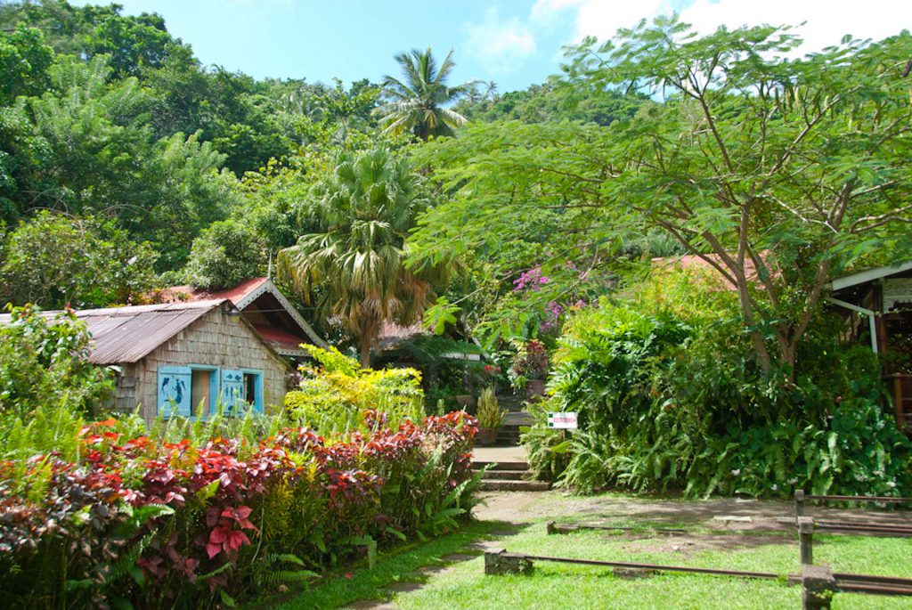 Fond Doux Plantation ©Lscuiller