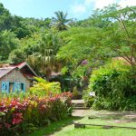 Fond Doux Plantation ©Lscuiller