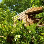 Parc Aux Orchidées Guadeloupe © Hervé Bré Enezgreen