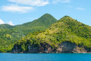 Martinique © Laetitia Scuiller • EnezGreen