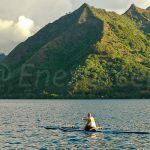 Moorea Polynésie française @ Laetitia Scuiller EnezGreen