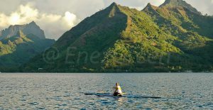 Moorea Polynésie française @ Laetitia Scuiller EnezGreen