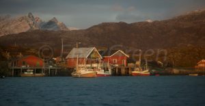 Norvège ÎLES Loffoten Hervé Bré EnezGreen