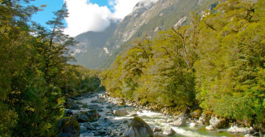 NZ Fiordland @ Laetitia Scuiller EnezGreen