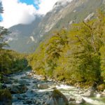 NZ Fiordland @ Laetitia Scuiller EnezGreen