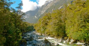 NZ Fiordland @ Laetitia Scuiller EnezGreen