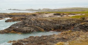 Ouessant - Laetitia Scuiller EnezGreen