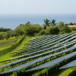 Panneaux solaires Martinique Laetitia Scuiller EnezGreen