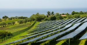 Panneaux solaires Martinique Laetitia Scuiller EnezGreen