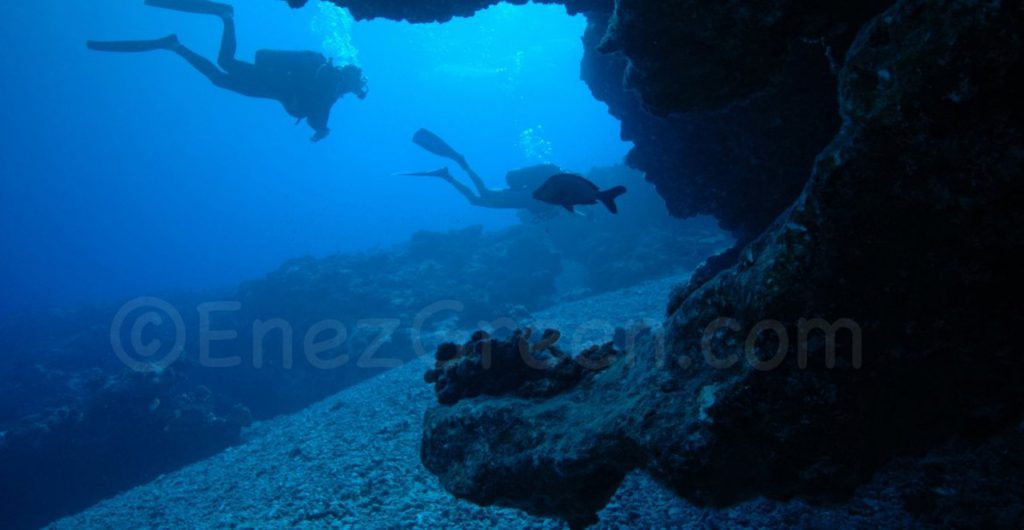 Le projet de création de réserve marine la plus grande du monde à Rapa Nui se concrétise