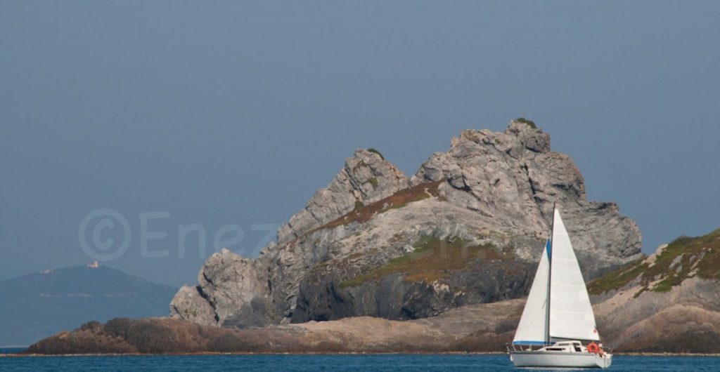 Porquerolles @ Laetitia Scuiller EnezGreen