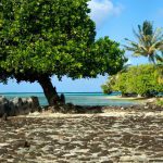 Marae Taputaputatea @Hervé Bré Raiatea