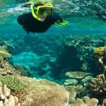 Récif corallien Nouvelle Calédonie - Laëtitia Scuiller EnezGreen