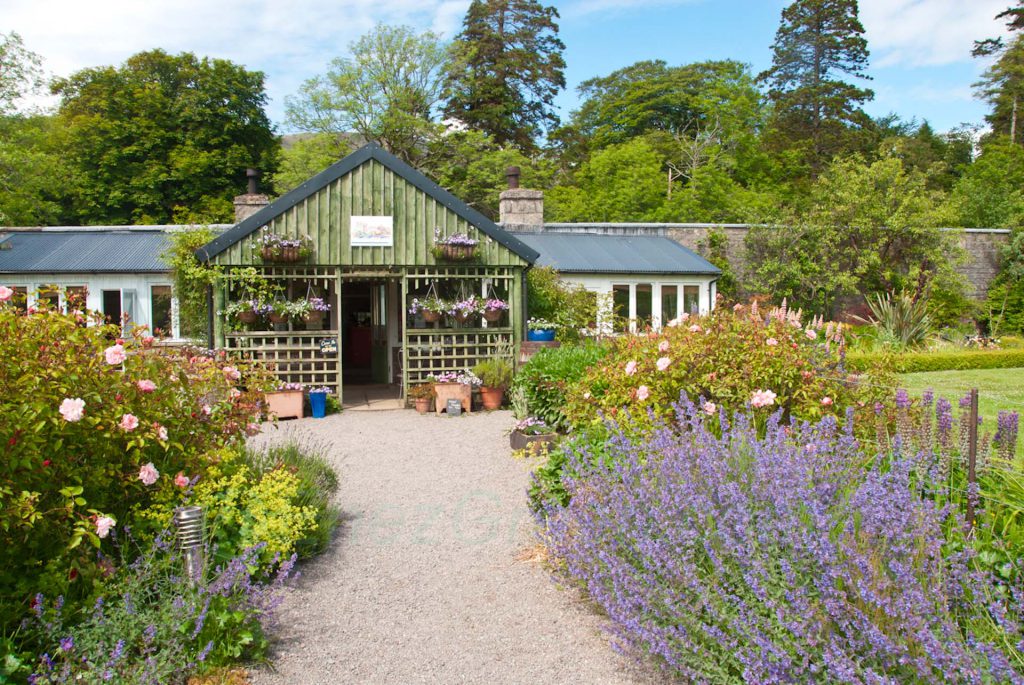 Applecross Walled Garden et le Potting Shed Cafe And Restaurant dans un jardin fleuri et abrité
Laëtitia Scuiller Enezgreen