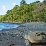 Tortue Mayotte @ Laetitia Scuiller EnezGreen