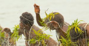 Danse de l'eau Vanuatu - Hervé Bré EnezGreen
